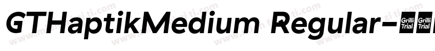 GTHaptikMedium Regular字体转换
